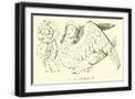Black Frame