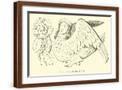 Brown Frame