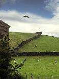 UFO Sighting-Richard Kail-Stretched Canvas