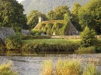 Wisteria-Covered Cottage-Richard Klune-Photographic Print