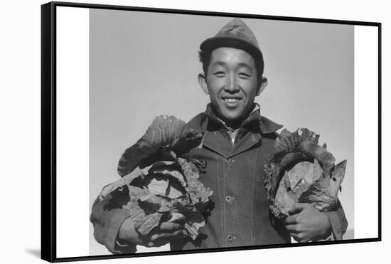 Richard Kobayashi, Farmer with Cabbages-Ansel Adams-Framed Stretched Canvas