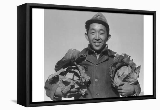 Richard Kobayashi, Farmer with Cabbages-Ansel Adams-Framed Stretched Canvas