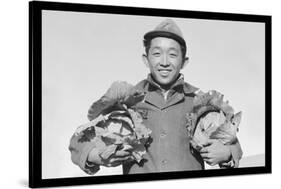 Richard Kobayashi, Framer with Cabbages-Ansel Adams-Stretched Canvas