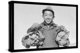 Richard Kobayashi, Framer with Cabbages-Ansel Adams-Stretched Canvas