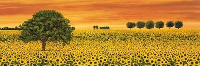Field of Sunflowers-Richard Leblanc-Mounted Art Print