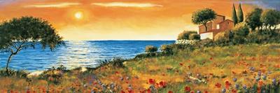 Field of Poppies-Richard Leblanc-Stretched Canvas