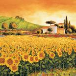 Valley of Sunflowers-Richard Leblanc-Stretched Canvas