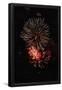 Essential Black