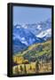 Essential Black