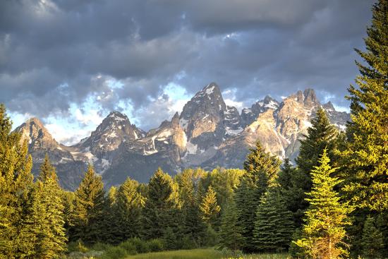 Premium Photographic Print, , large