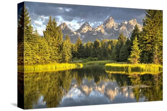 Stretched Canvas Print, , large