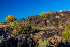 Beautiful Fall Foliage on Cottonwood Trees along the Rio Grande River in New Mexico.-Richard McMillin-Mounted Photographic Print