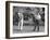 Richard Nixon Playing Golf with His Celebrity Friends Fred Macmurray and Bob Hope. Jan. 18 1970-null-Framed Photo