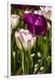 Gramercy White