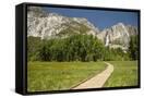Canvas Black