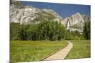 Wood Mount