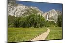 Wood Mount