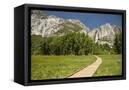 Canvas Black