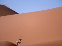 Lone Gemsbok Walking On Sand Dunes-Richard Olivier-Framed Stretched Canvas