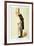 Richard Owen, British Zoologist, 1873-Spy-Framed Giclee Print