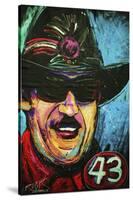 Richard Petty 001-Rock Demarco-Stretched Canvas