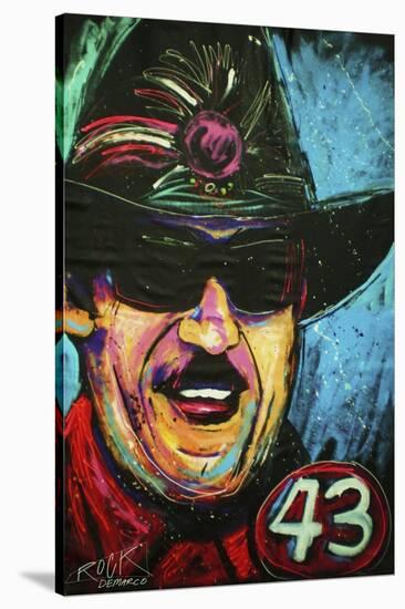 Richard Petty 001-Rock Demarco-Stretched Canvas