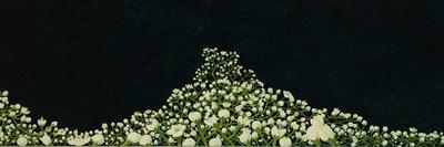 Fall: Dogrose 2, 2008-Richard Pomeroy-Giclee Print