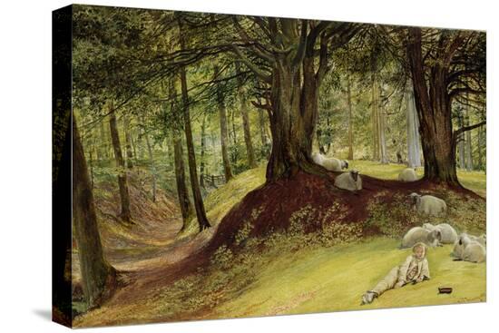 Stretched Canvas Print, , large