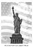 Liberty Flag-Richard Roffman-Art Print