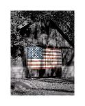 Liberty Flag-Richard Roffman-Laminated Art Print