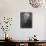 Richard Strauss Castagn-M Castagneri-Photographic Print displayed on a wall