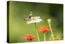 Stretched Canvas