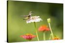 Stretched Canvas