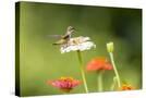 Stretched Canvas