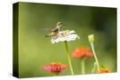 Stretched Canvas