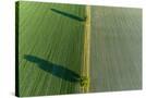 Stretched Canvas
