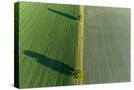 Stretched Canvas
