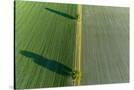 Stretched Canvas