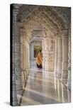 Jain Akshardham Temple-Richard T Nowitz-Stretched Canvas