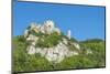 Richard The Lion Heart fortress, Les Andelys, Normandy, France-Jim Engelbrecht-Mounted Photographic Print