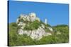 Richard The Lion Heart fortress, Les Andelys, Normandy, France-Jim Engelbrecht-Stretched Canvas