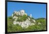 Richard The Lion Heart fortress, Les Andelys, Normandy, France-Jim Engelbrecht-Framed Photographic Print