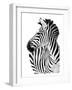 Richard The Zebra-null-Framed Premium Giclee Print