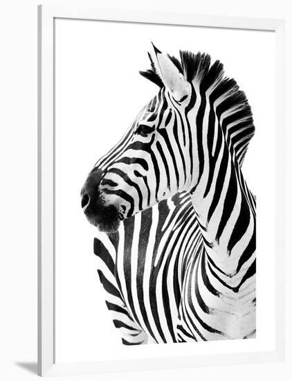 Richard The Zebra-null-Framed Premium Giclee Print