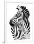 Richard The Zebra-null-Framed Premium Giclee Print