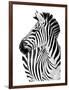 Richard The Zebra-null-Framed Premium Giclee Print