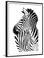 Richard The Zebra-null-Framed Premium Giclee Print