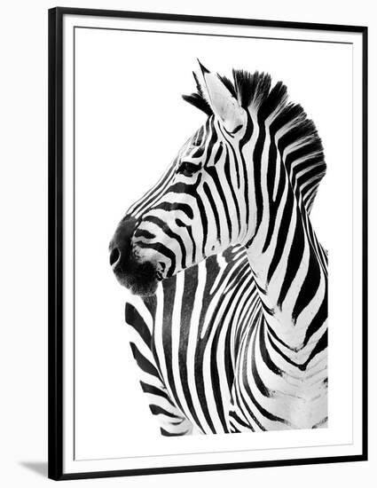 Richard The Zebra-null-Framed Premium Giclee Print