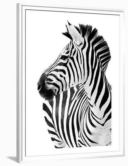 Richard The Zebra-null-Framed Premium Giclee Print