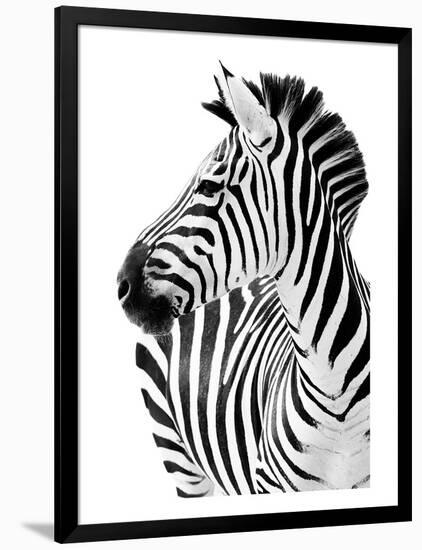 Richard The Zebra-null-Framed Premium Giclee Print